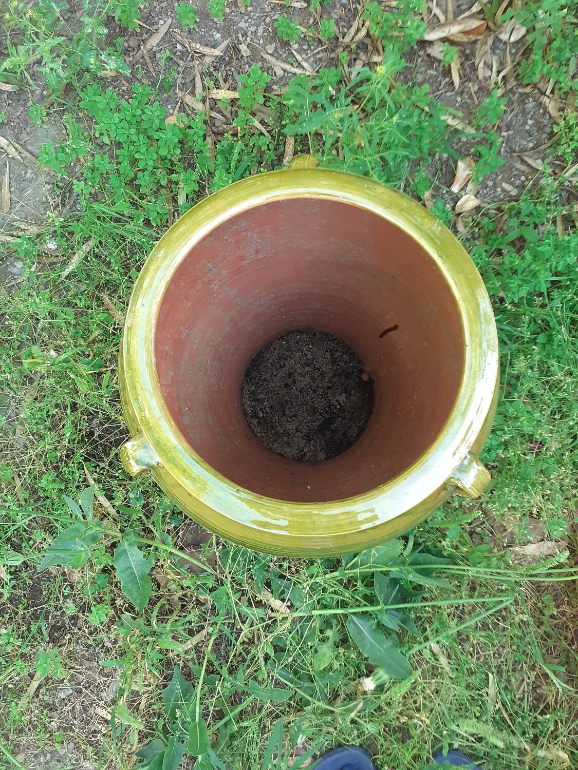 Jar, glazed earthenware pottery