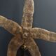 Giant starfish thromidia catalai on pedestal