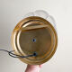 Shell sconces
