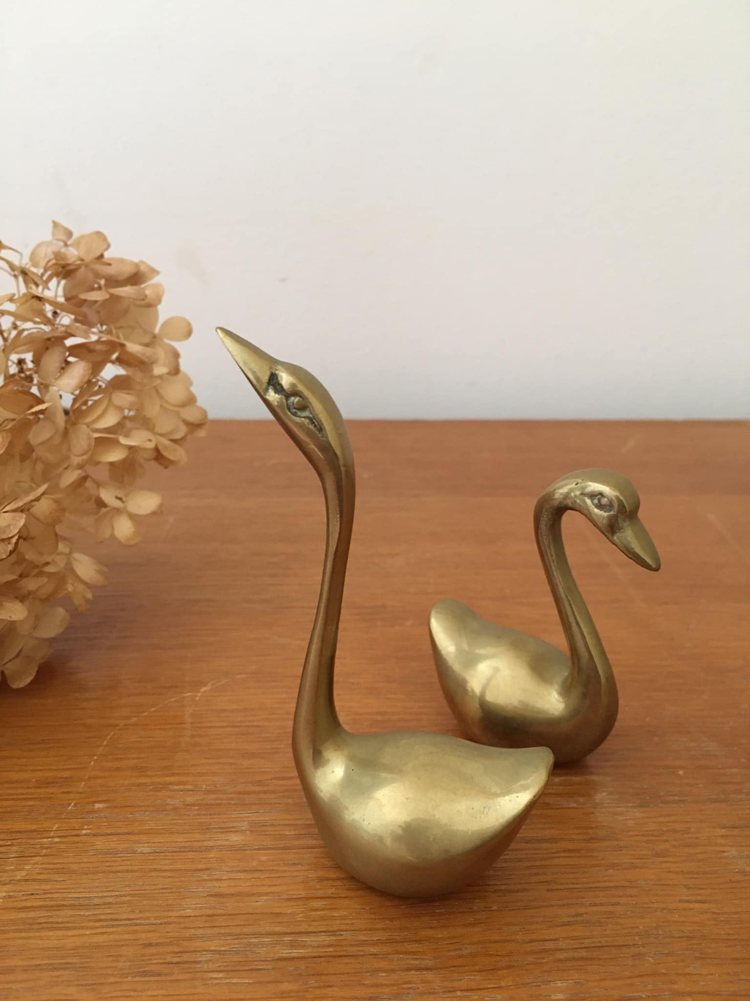 Duo de cygnes en laiton