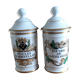 Pair of pots a pharmacy in porcelain