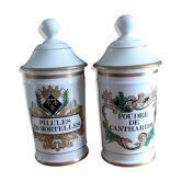 Pair of pots a pharmacy in porcelain