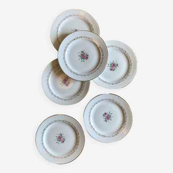 Set of 6 vintage porcelain flat plates decorated with roses