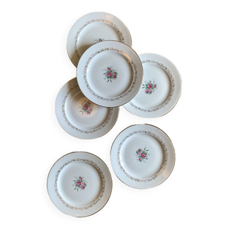 Set of 6 vintage porcelain flat plates decorated with roses