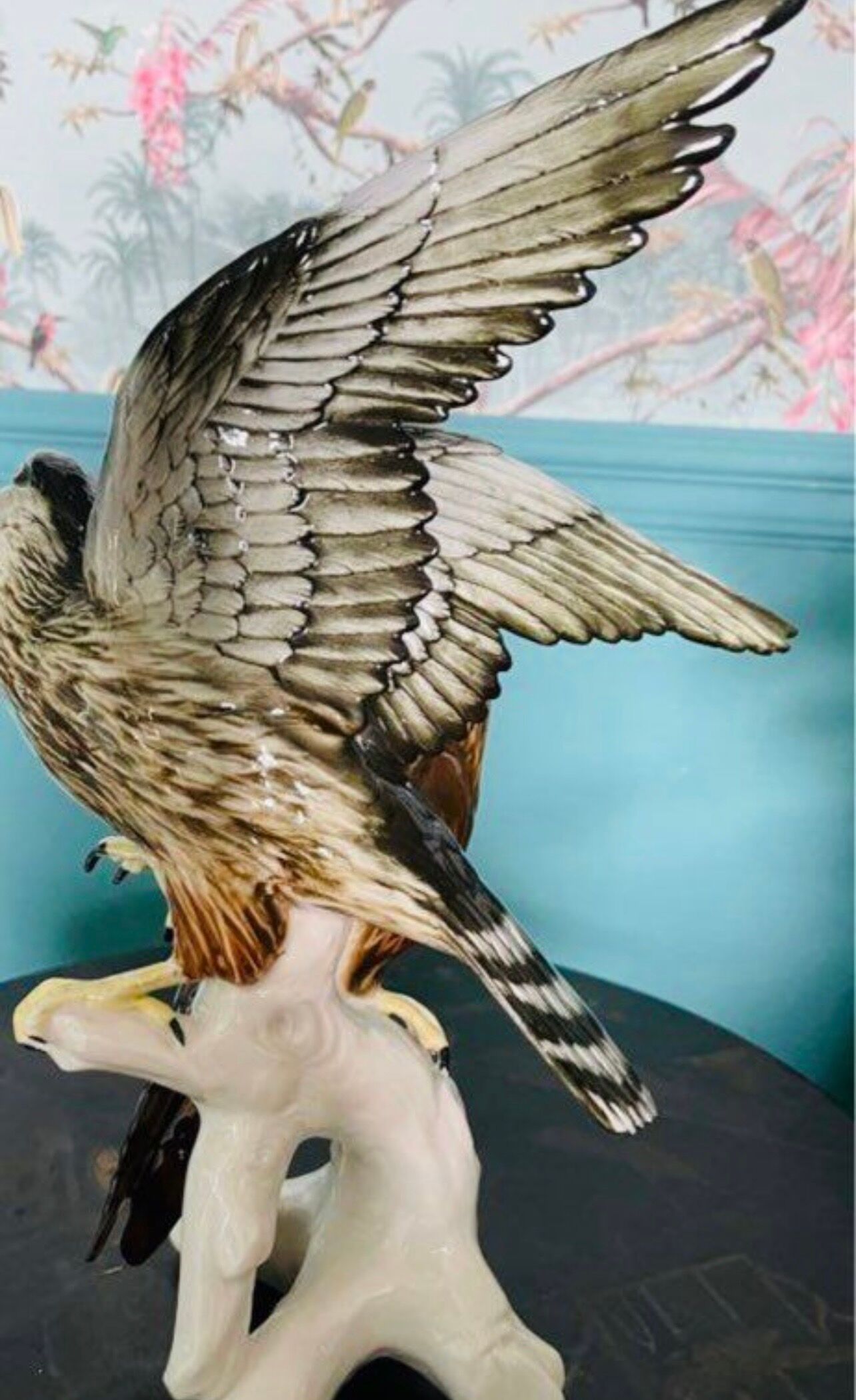 Birds couple of falcons Karl Ens