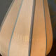 Paire de lampes lotus