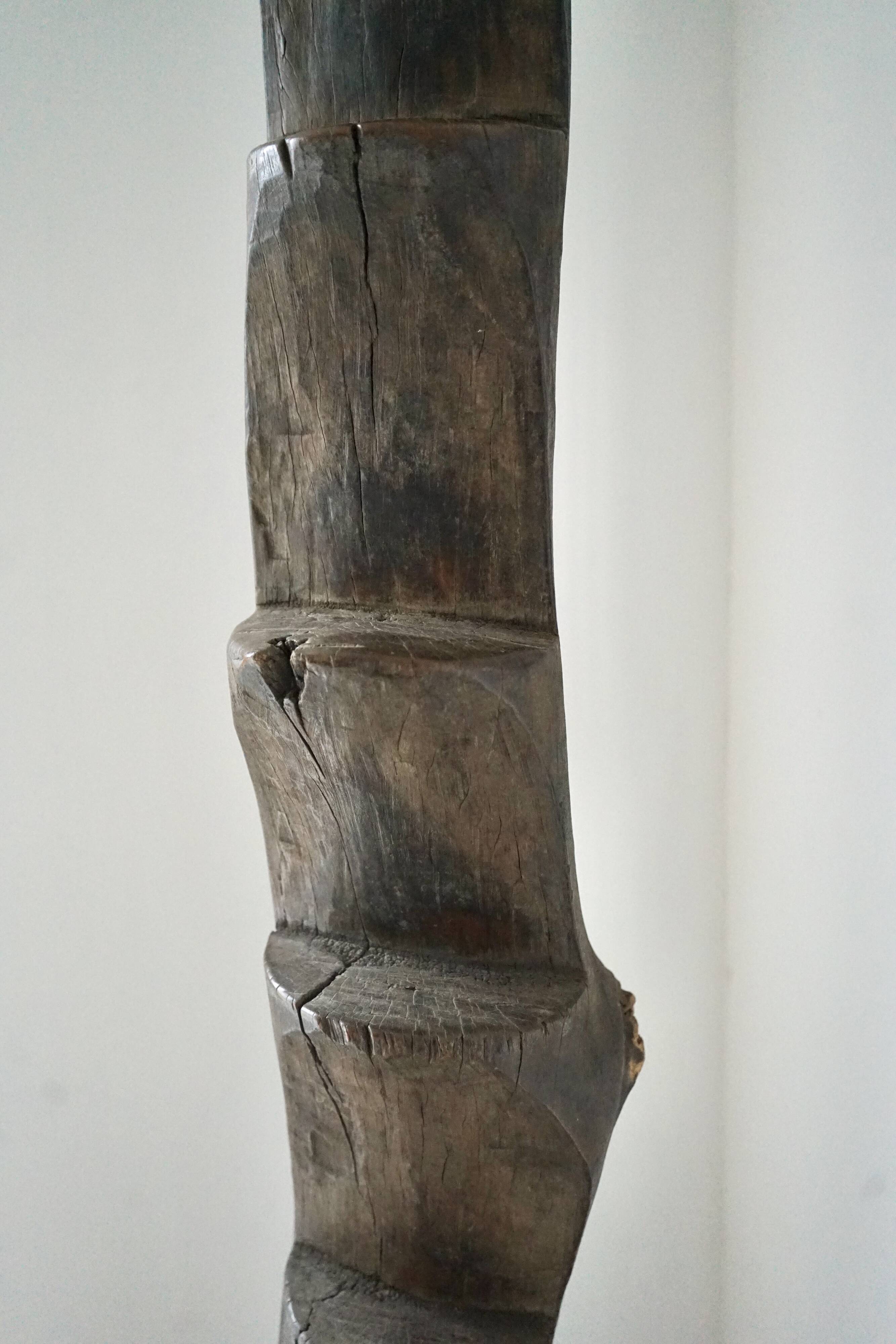 Échelle Dogon africaine, XXe siècle