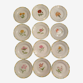 Service of 12 hand-painted plates