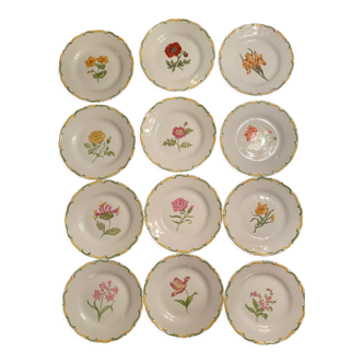 Service of 12 hand-painted plates