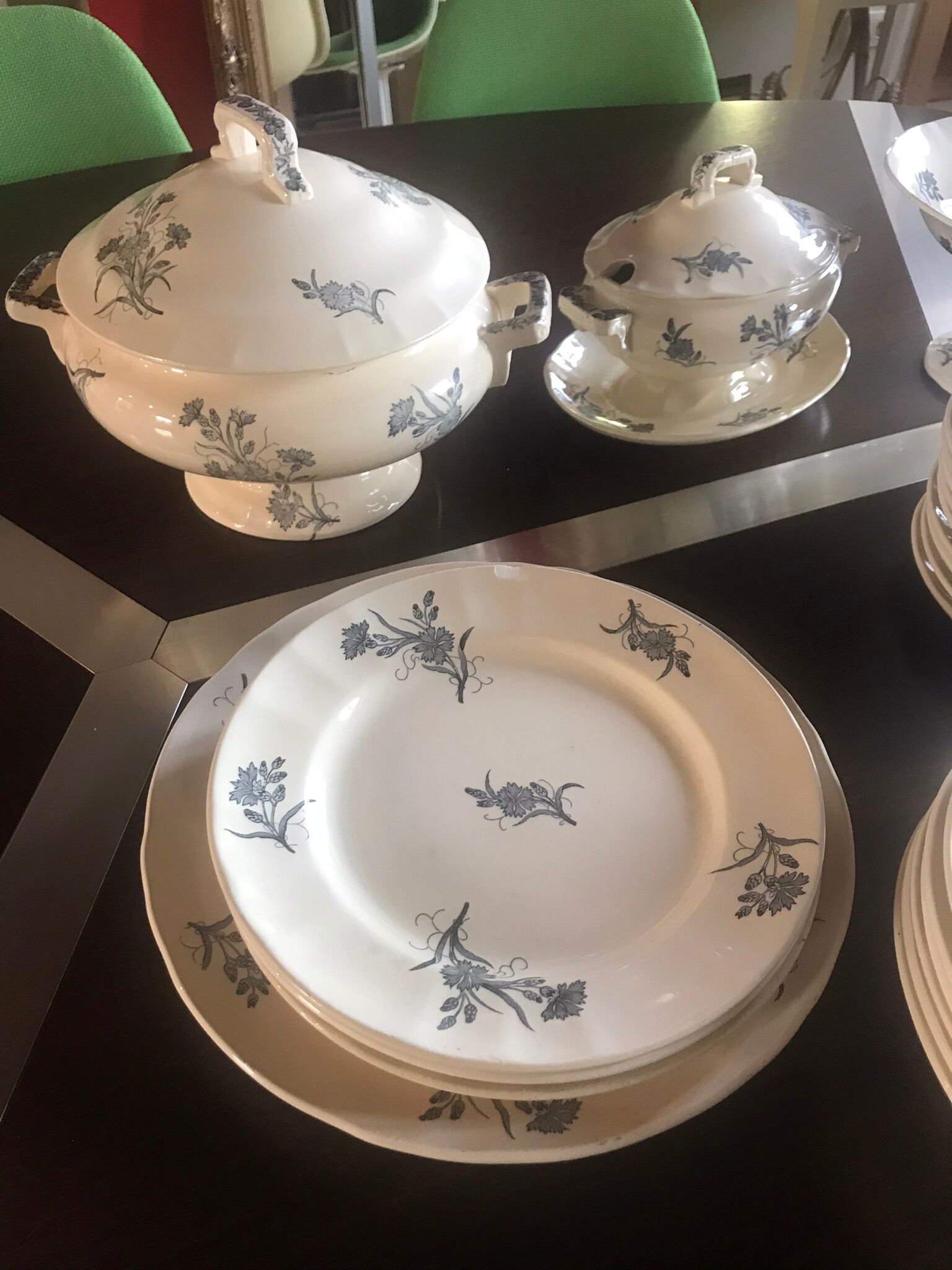 Lot de terre de fer Longchamp modèle Bluets