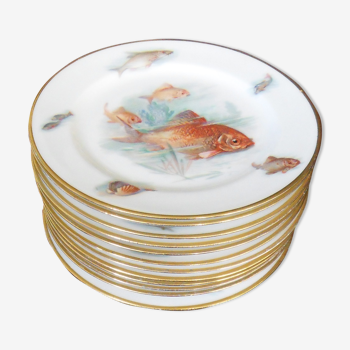 Fish plates