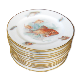 Assiettes à poisson