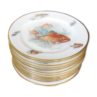 Fish plates