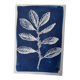 Cyanotype botanique