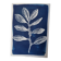 Cyanotype botanique