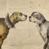 Original zoological frame engraving from 1839 " shepherd dog,....,.... "