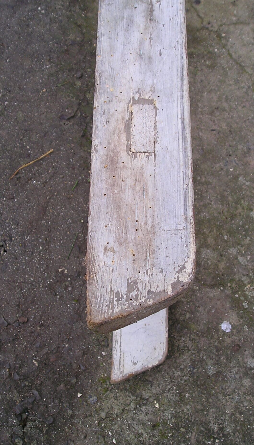 Scale wood