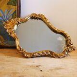 Small Golden Mirror Moulding