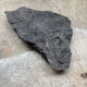 Plant fossilized plate