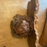 Varnished root living room table