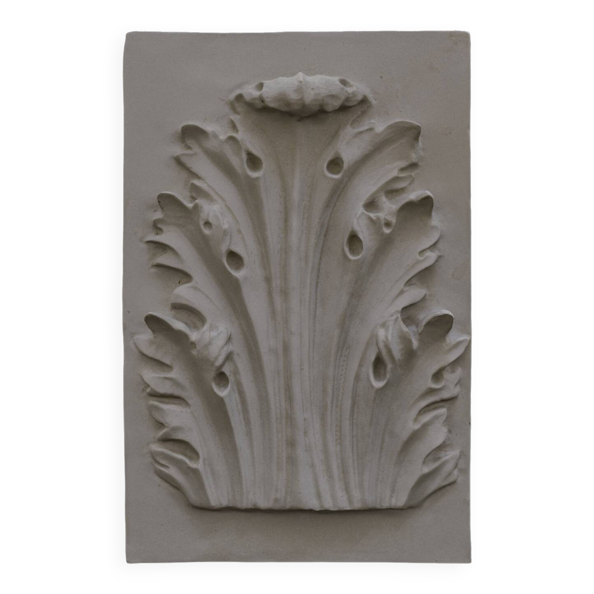 Bas-relief en plâtre d’une feuille d’acanthe