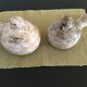 Pairs of birds in ceramic signed