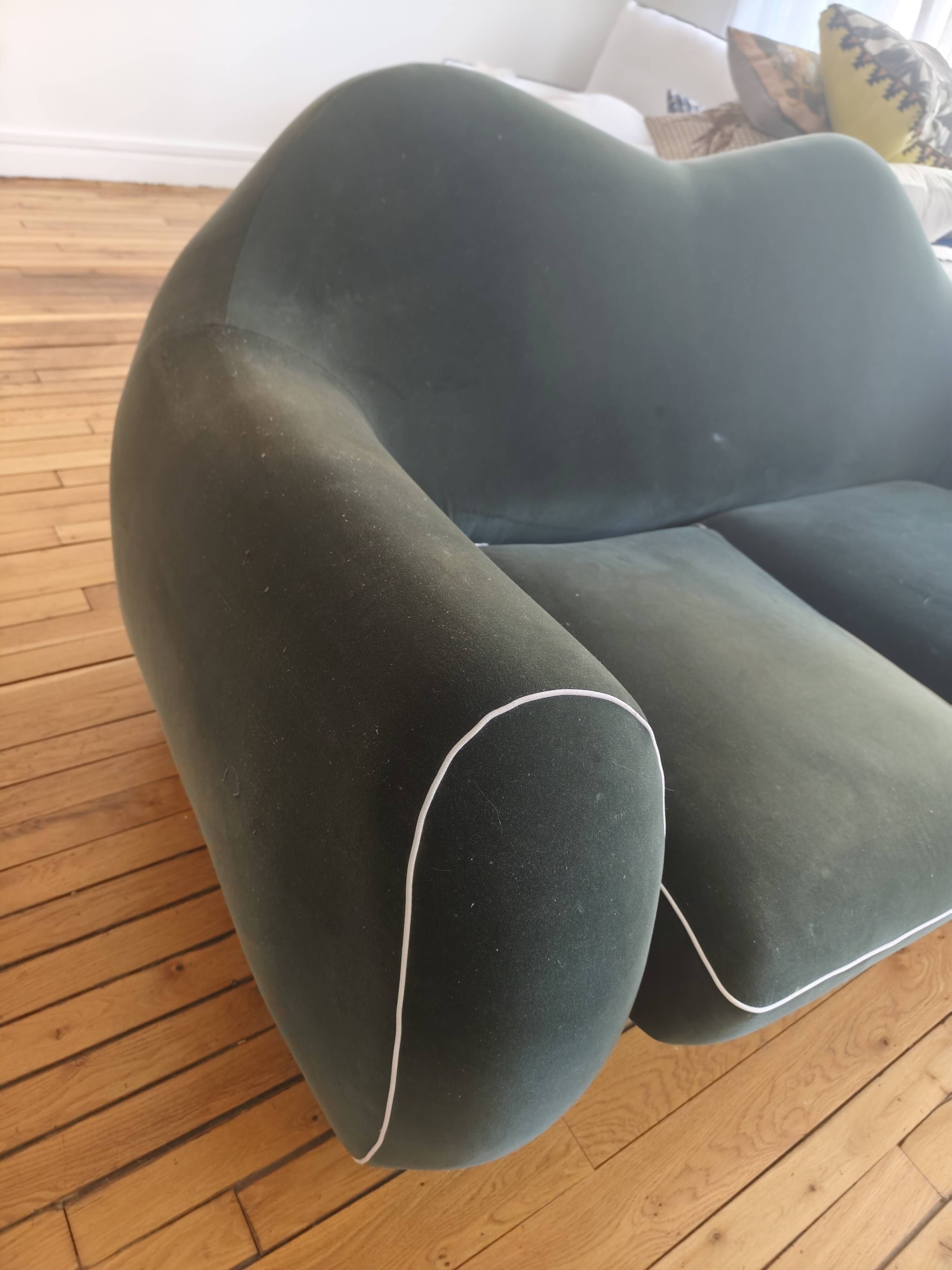 Two-seater sofa by Roche Bobois designed by Christian Lacroix purchased in 2019.