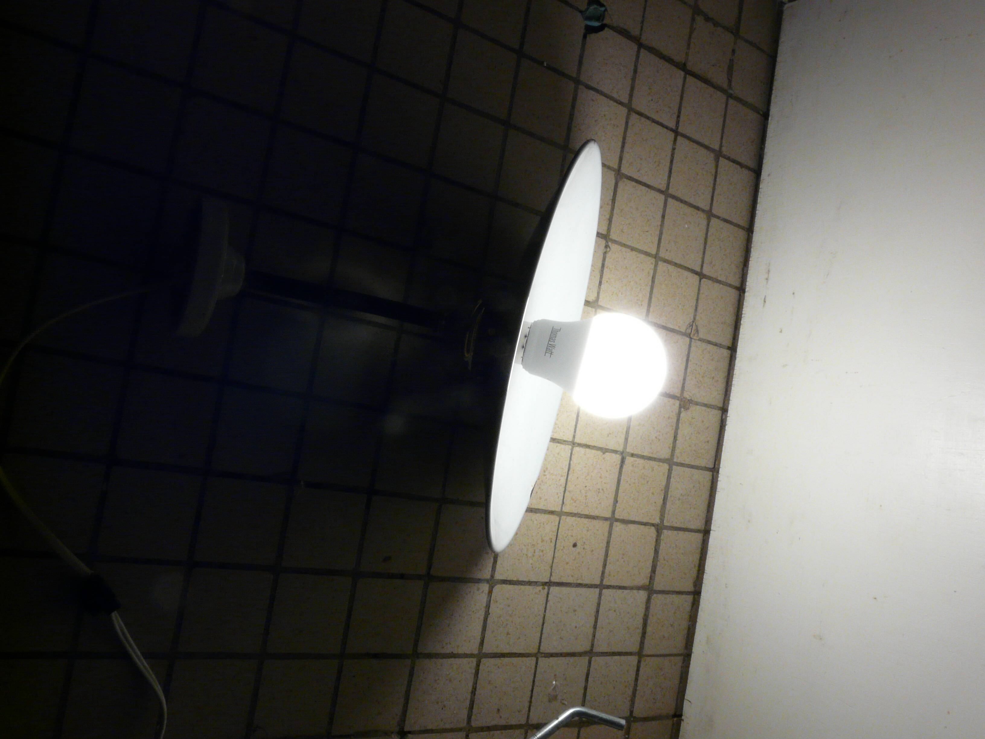 Industrial wall light in enameled sheet metal, swan neck, porcelain base