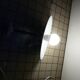 Industrial wall light in enameled sheet metal, swan neck, porcelain base