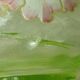 Vase boule en verre emaille email gras