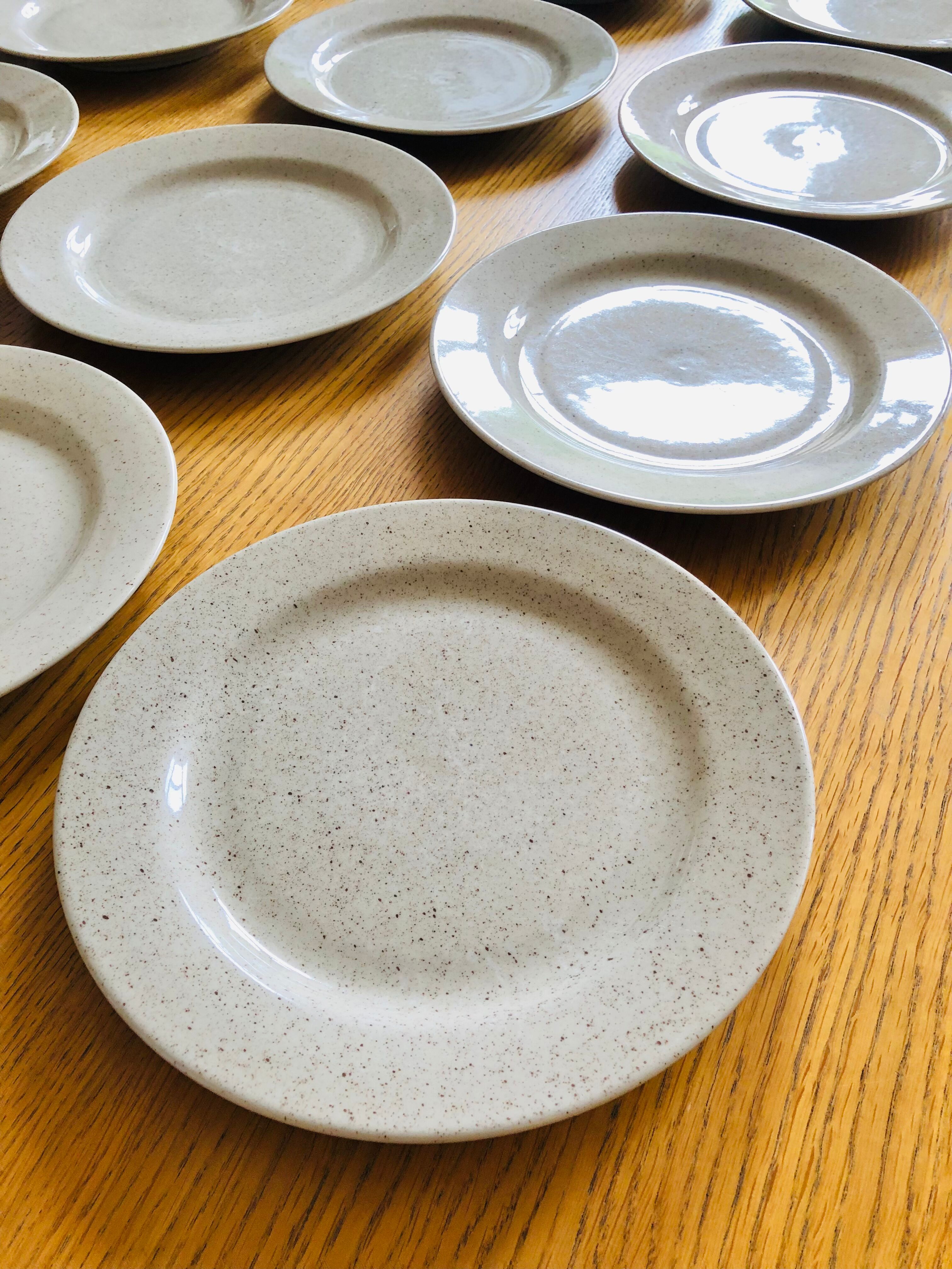 12 Flat plates in vintage speckled stoneware
