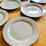 12 Flat plates in vintage speckled stoneware