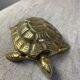 Brass Turtle Ashtray