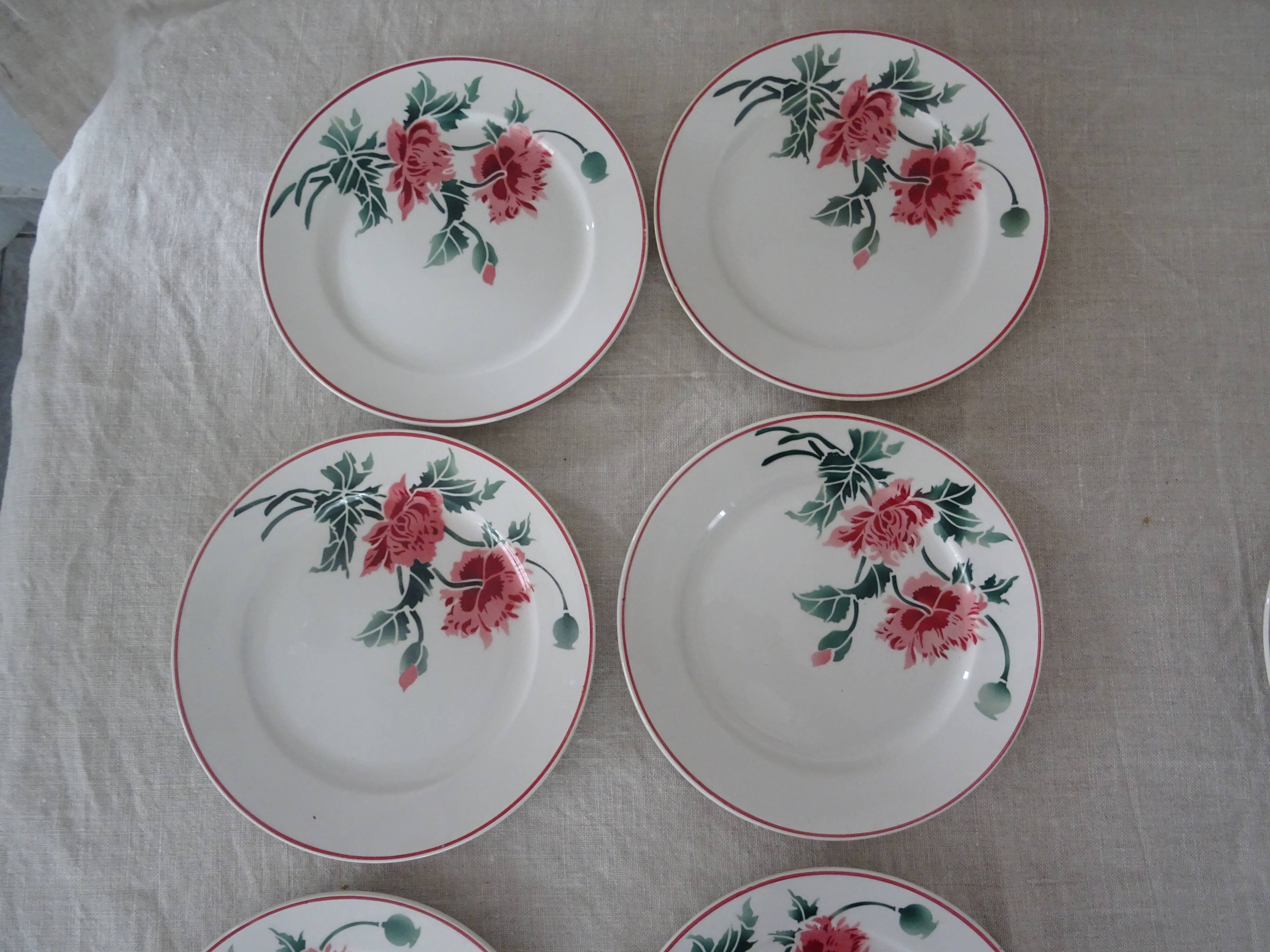 12 plates old flat and hollow HBCM Creil Montereau Luxeuil carnations