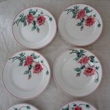 12 plates old flat and hollow HBCM Creil Montereau Luxeuil carnations