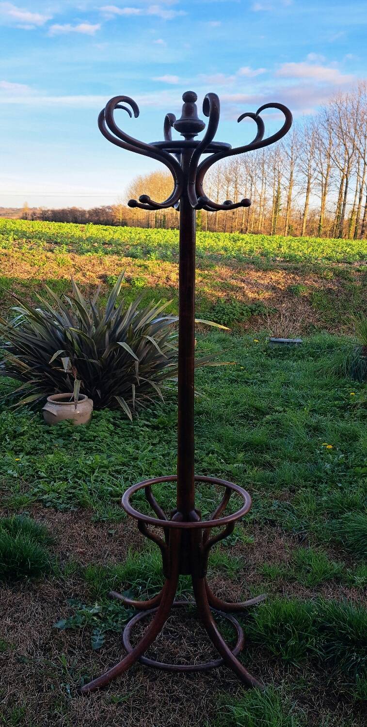 Parrot coat Baumann.