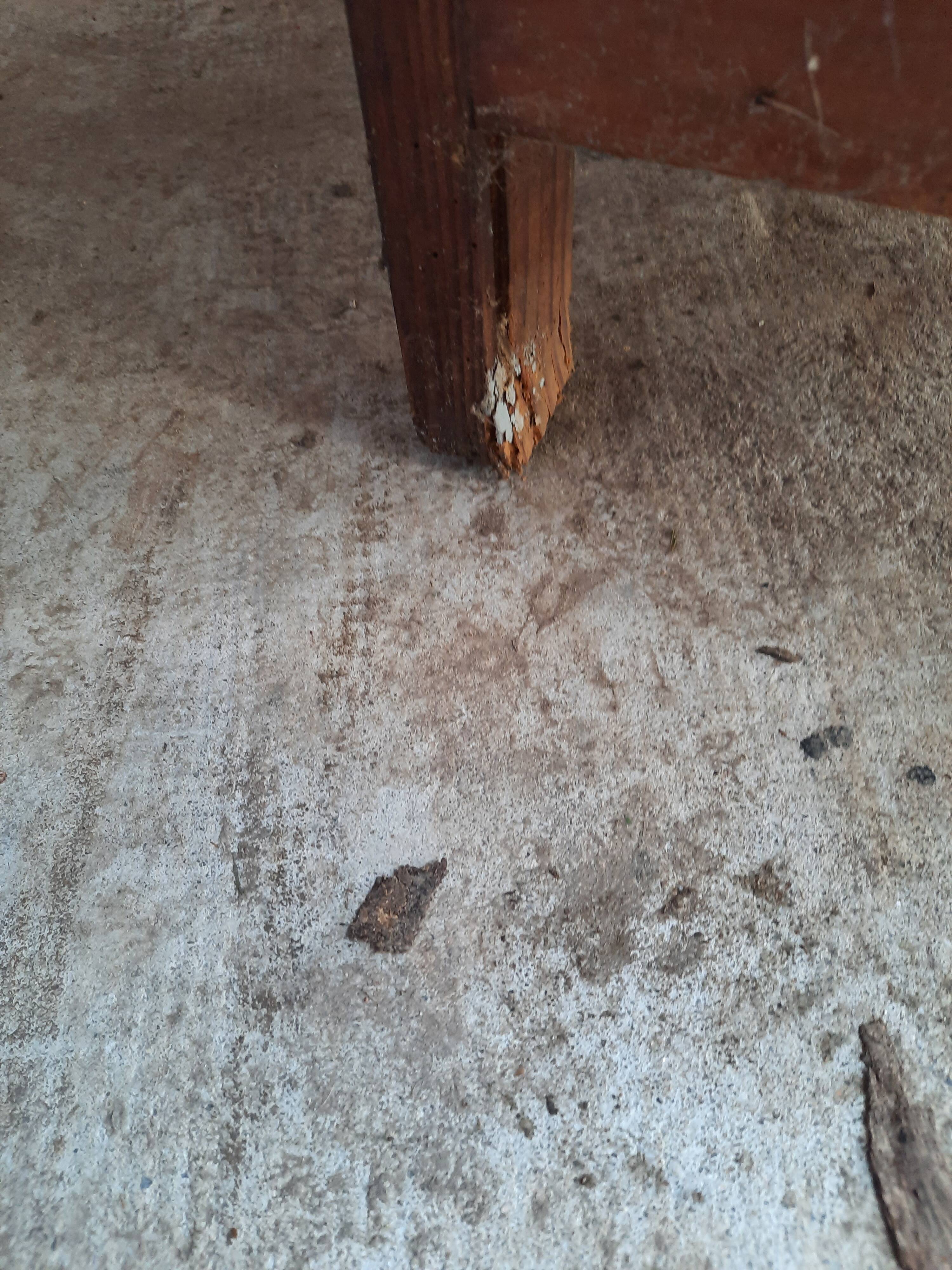 Paris wardrobe 1 door