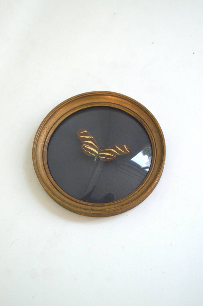 Butterfly frame under curved glass