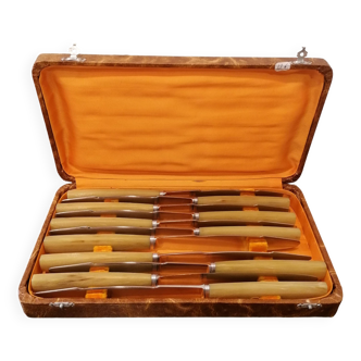 Box of 11 stainless steel knives with bakelite handles