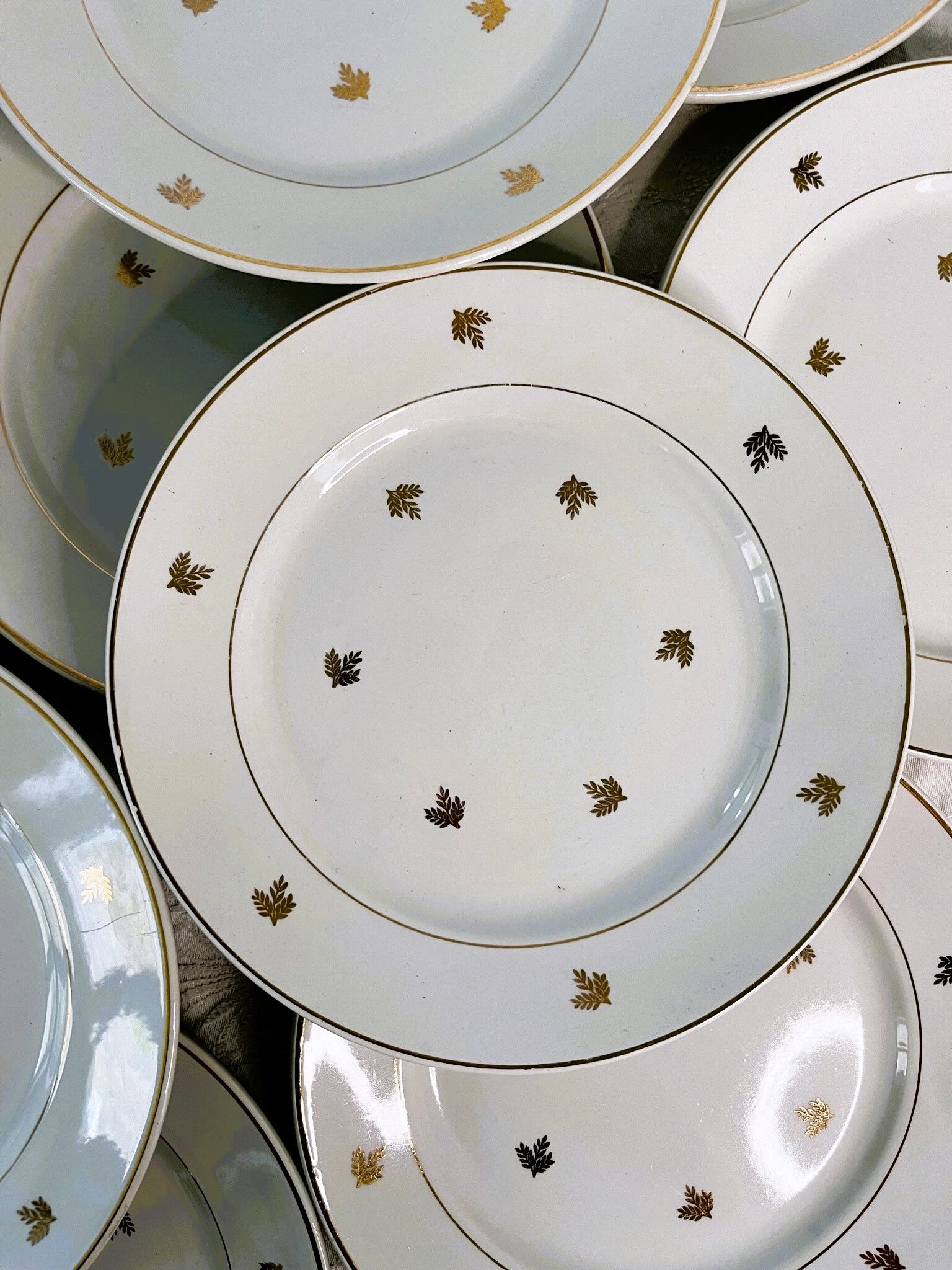 11 plates in antique earthenware decorated with golden leaves and golden border