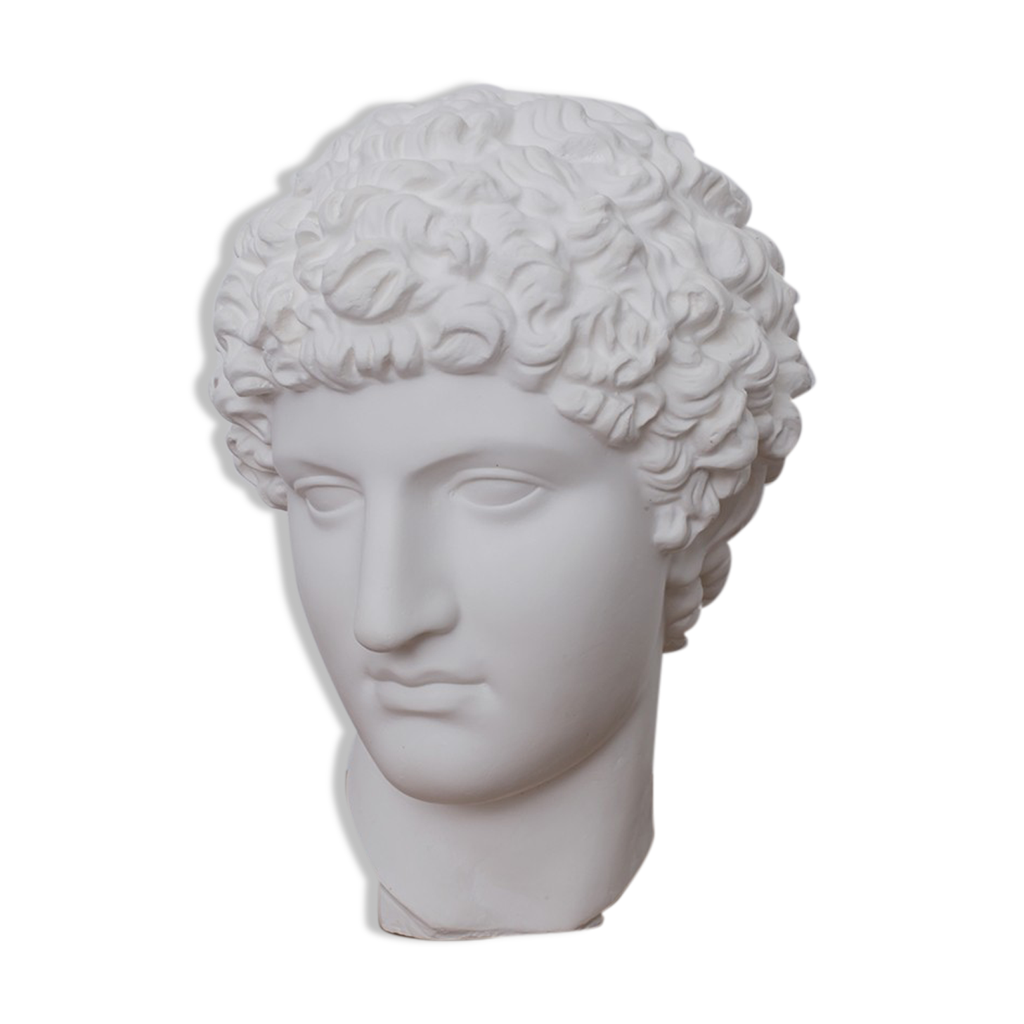 Greek head in matt white plaster