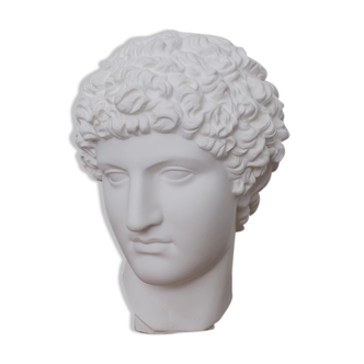 Greek head in matt white plaster