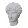 Greek head in matt white plaster