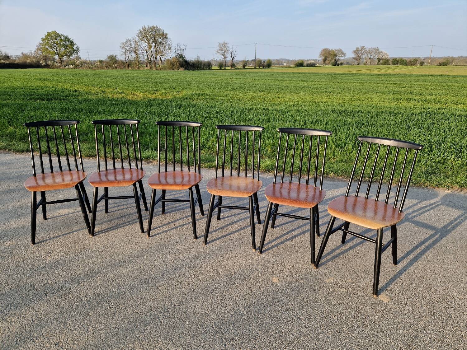 Set of 6 Fannett Scandinavian chairs by Ilmari Tapiovaara 1960.