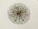 XXL Austrian Dandelion Wall or Ceiling Lamp by Emil Stejnar for Rupert Niko
