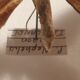 Showcase frame 8 butterflies of the world naturalized vintage 1970's