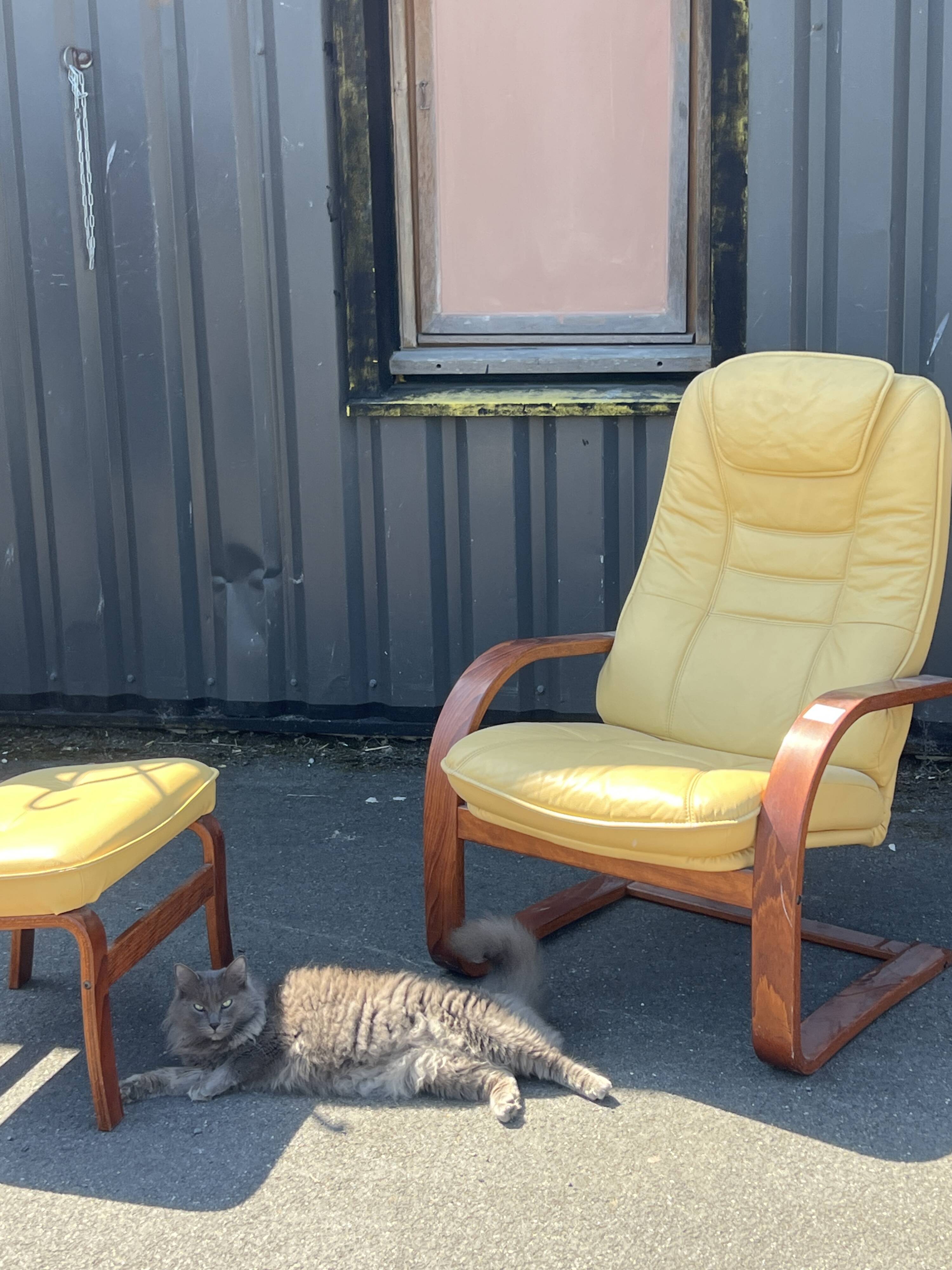 Vintage leather armchair