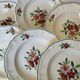 6 old soup plates, Sarreguemines, Amazona model, 1910