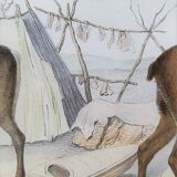 Zoological plank, original "renne - Elan " Buffon 1840