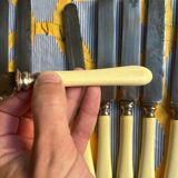 Set of 12 horn-handled knives